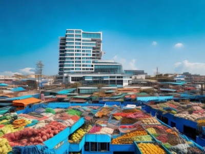 酒店蓝海市场的机遇与挑战，从竞争到创新